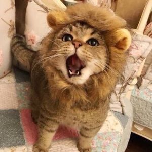 Meet your Posher, Mariam